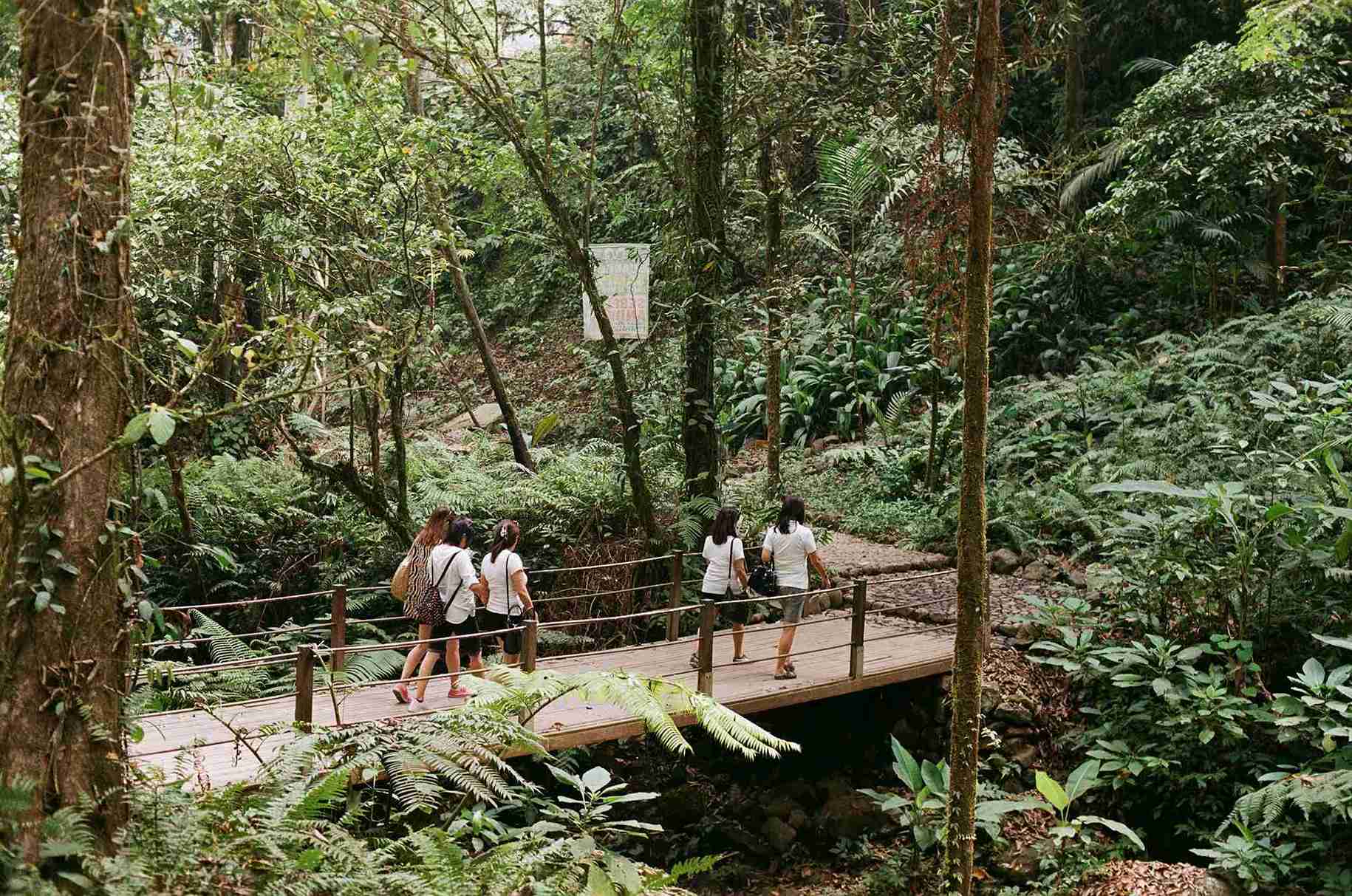 Nature Walks