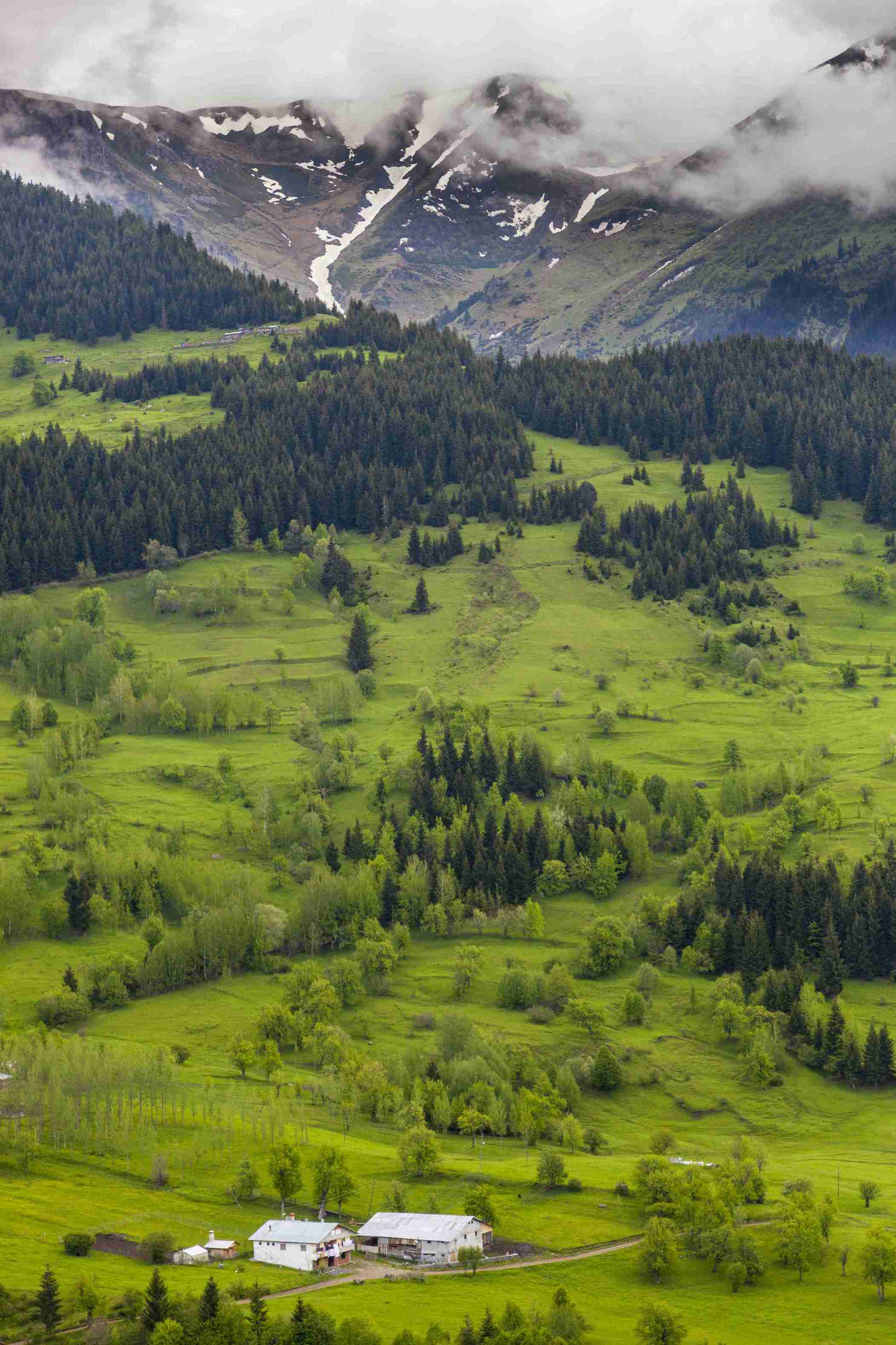 Kangra Valley
